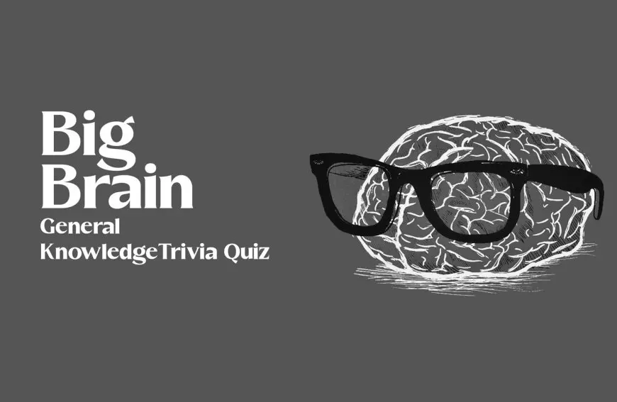 11 Questions Big Brain GK Trivia Quiz - Only Smart People Can Answer