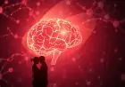 The Brain-Sex Connection: What Neuroscience Really Says About Pleasure, Orgasm, and Bonding