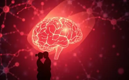 The Brain-Sex Connection: What Neuroscience Really Says About Pleasure, Orgasm, and Bonding The Brain-Sex Connection: What Neuroscience Really Says About Pleasure, Orgasm, and Bonding